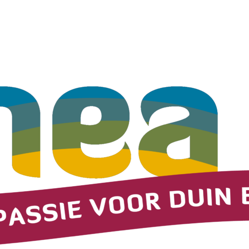 Dunea